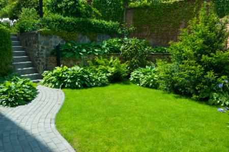 Keep Your Yard Healthy with Proactive Landscape Maintenance Thumbnail