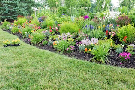 Plant Installation for Coastal Yards: Choosing Plants That Handle Heat, Wind, and Sand
