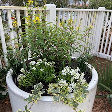 Flower Pot Installation 17