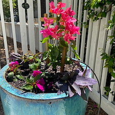 Flower Pot Installation 2