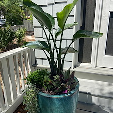 Flower Pot Installation 5